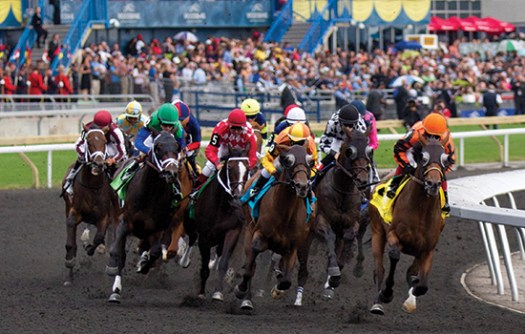 Horse-Racing-Queens-Plate-Woodbine