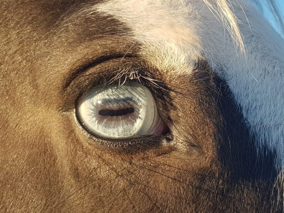 7506d3fe-e37f-43d7-9c23-9c2fa10855fc