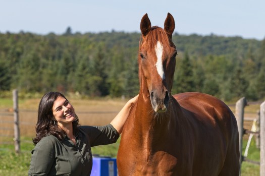 carmen-theobald-horse-sense-north-equine-facilitated-learning-efl-atticus-business-personal-development-eponaquest-1